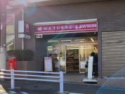 ナチュラルローソン 八雲三丁目店