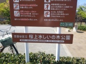 世田谷区立桜上水しいの木公園