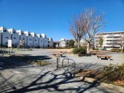 木の公園