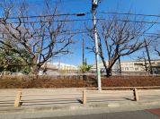世田谷区立砧南小学校