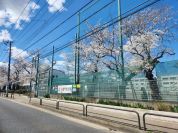 世田谷区立用賀中学校