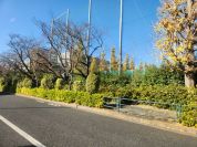 東京都立芦花高等学校