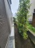 建物南側にも緑があり日々の生活に癒しをもたらします。