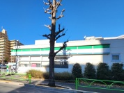 ファミリーマート 船橋希望丘通り店